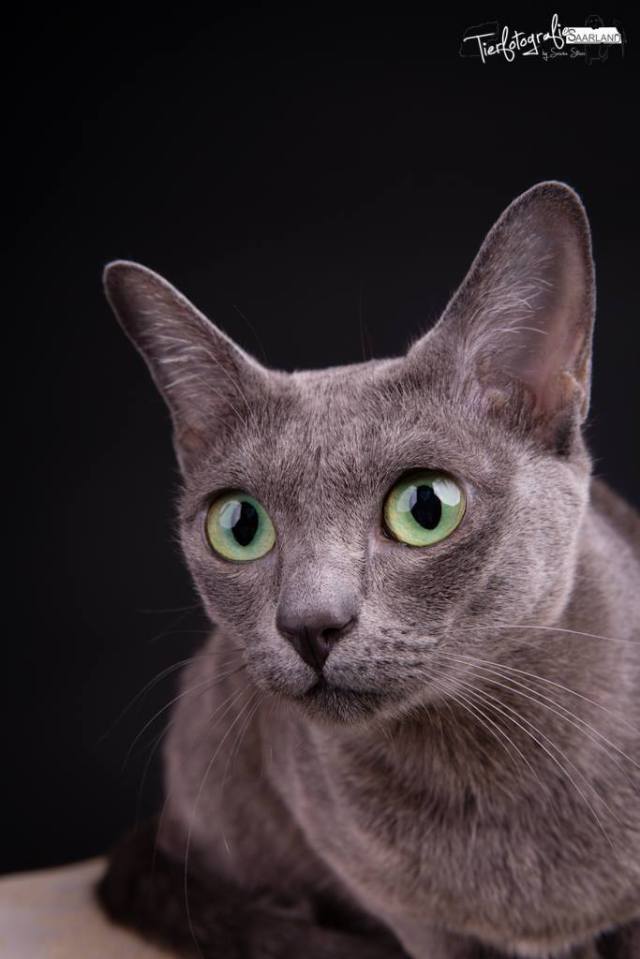 10575251_10203741237765000_6541211434559406942_o