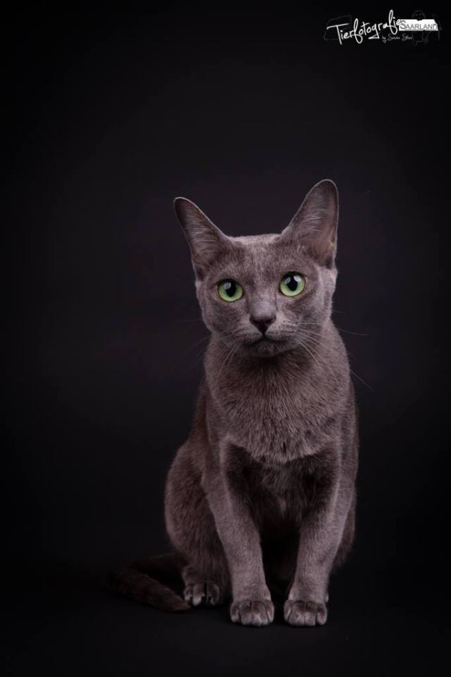 10644583_10203741239405041_1737038914116635491_o