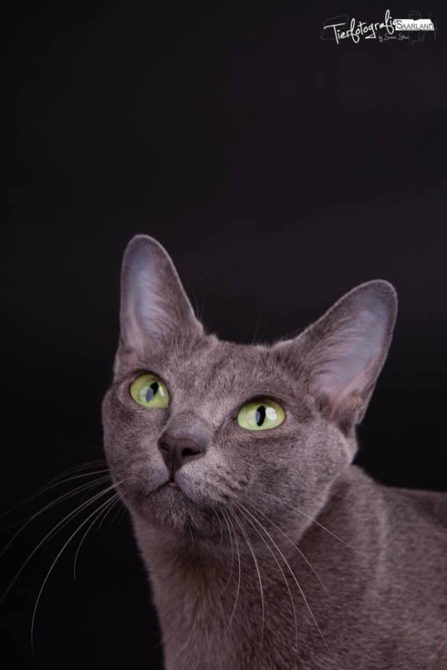 1890502_10203741232644872_3995973606755621872_o